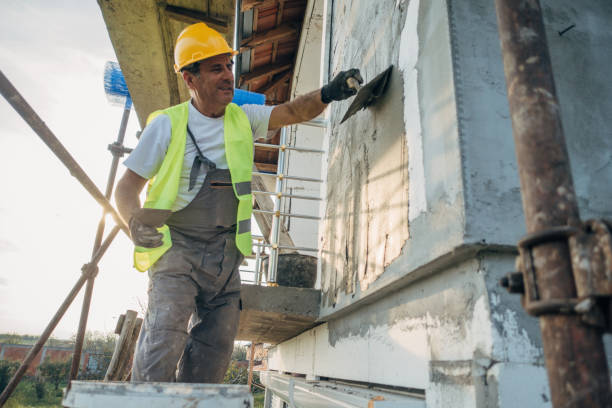 Best Insulation Contractor Near Me  in Edgewater, CO